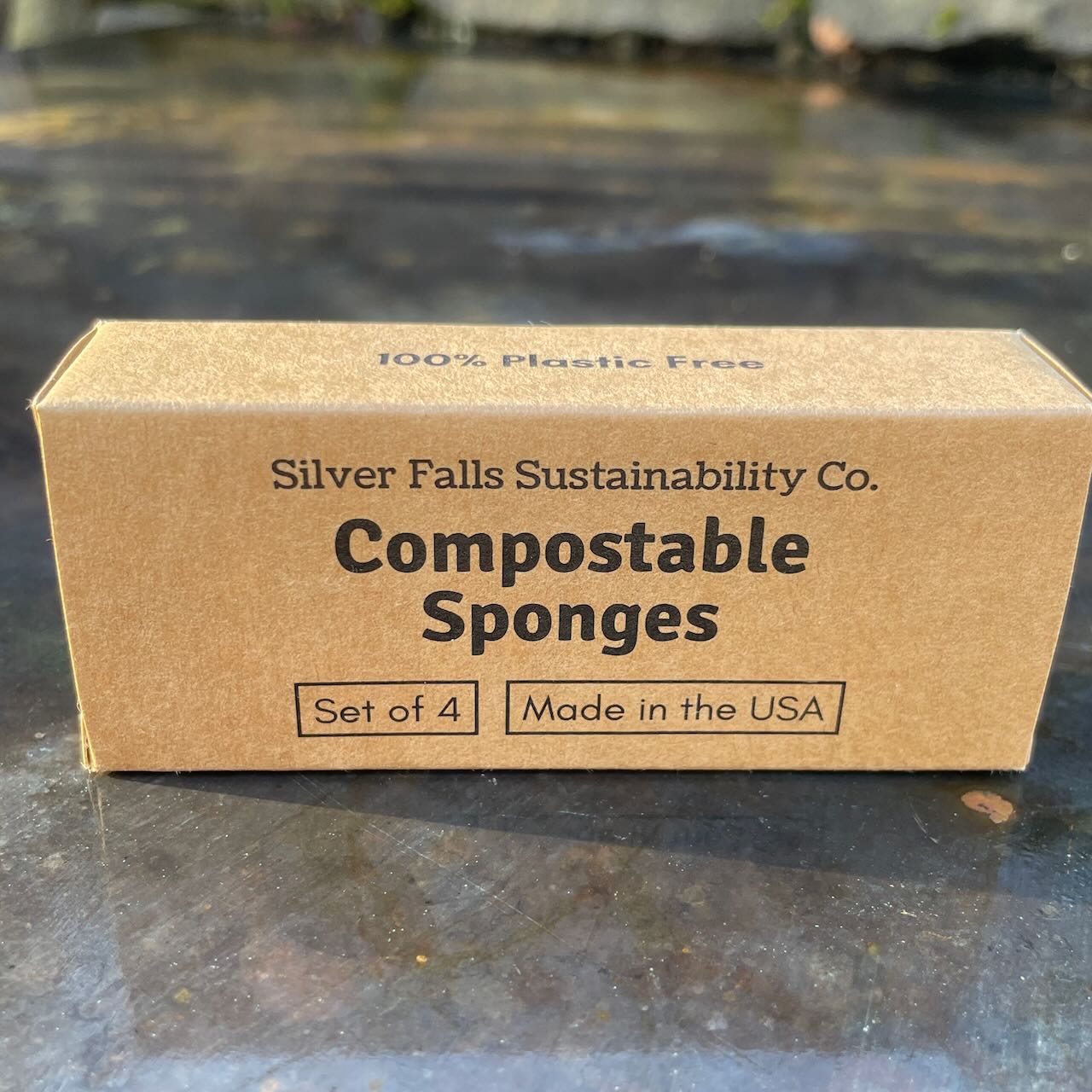 Compostable Sponges (4 Pack)