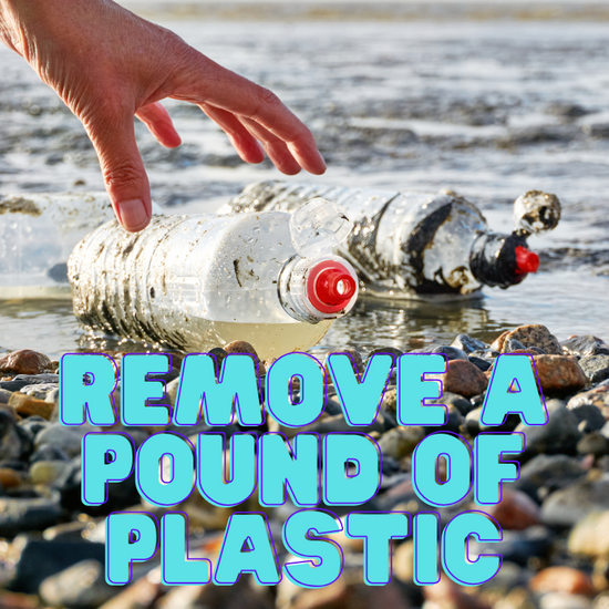 🎁 Remove 1 lb of Plastic (100% off)