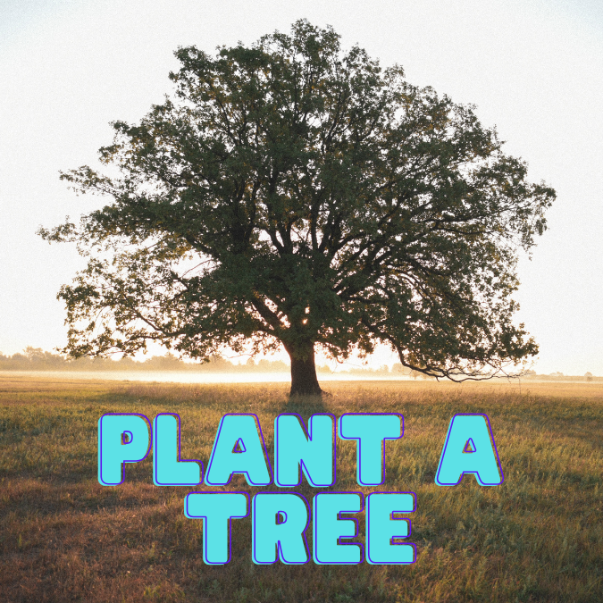 🎁 Plant a Tree (100% off)