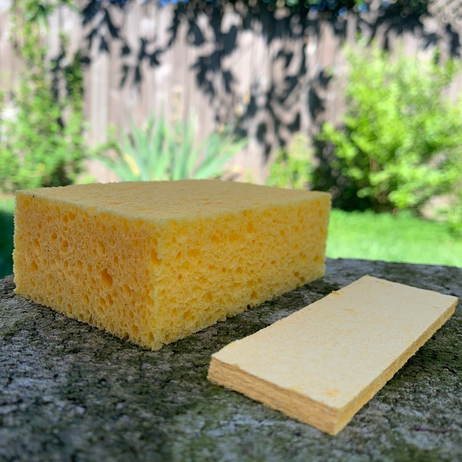 Compostable Sponges (4 Pack) – Silver Falls Sustainability Co.